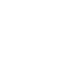 Scaleup Consulting logo stamp white